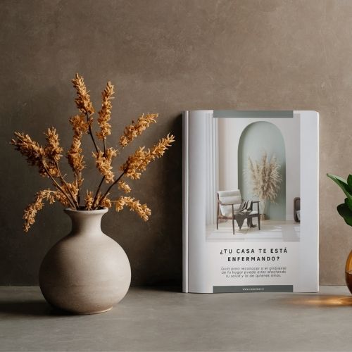 Guía ¿Tu casa te está enfermando? Autoevaluación de la salud de tu hogar