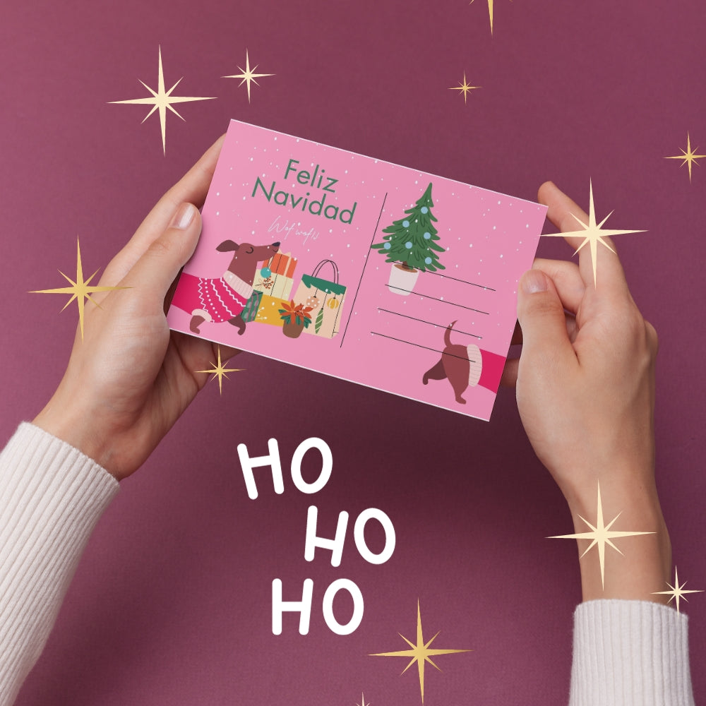 Postal Navideña Salchi