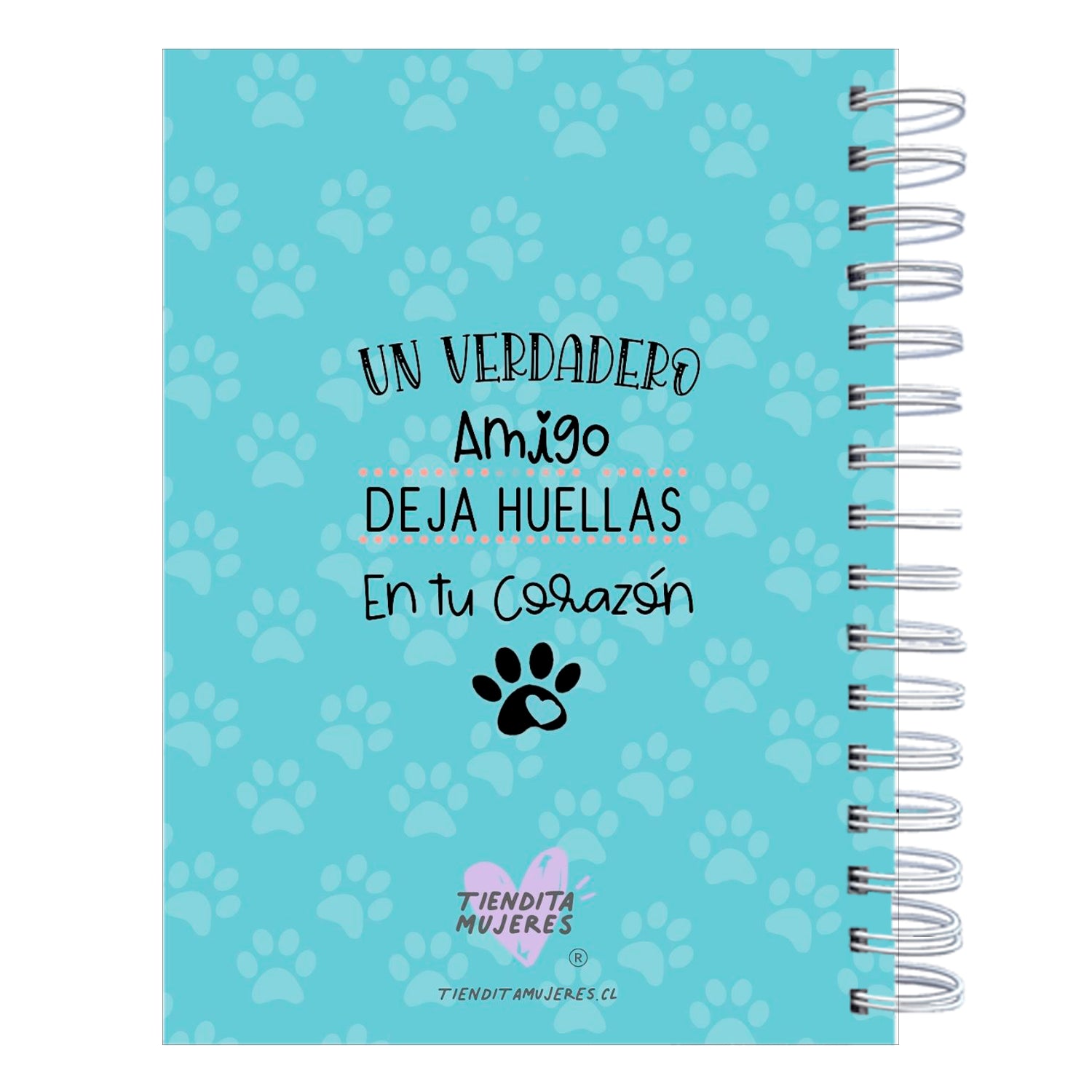 Control Veterinario Cat cute