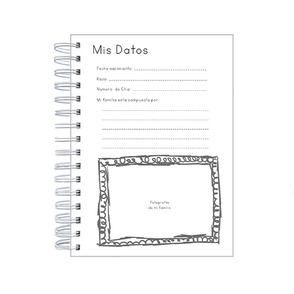 Control Veterinario Cat cute